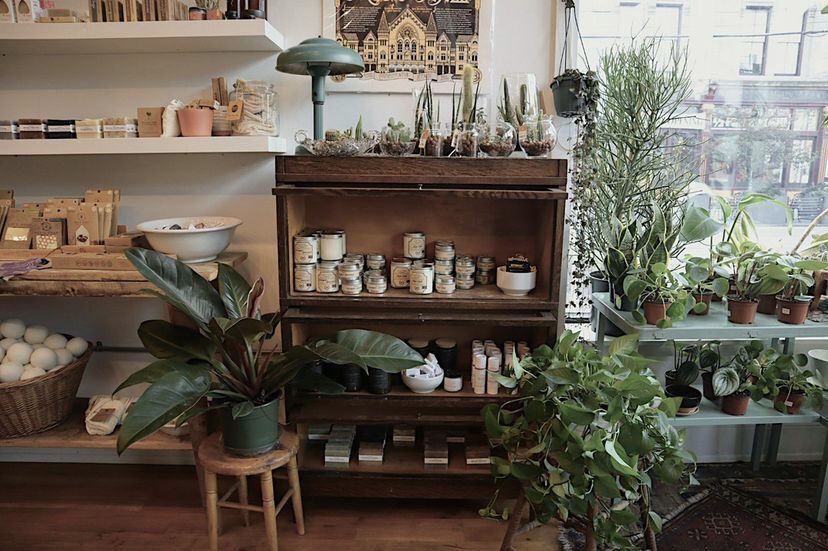 Deerhaus Decor